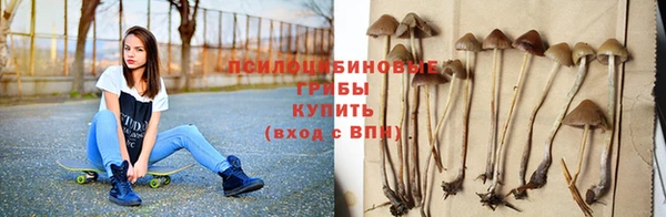 спайс Белокуриха